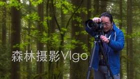 证监会：密切跟踪分析注册制实施效果 不断优化制度安排